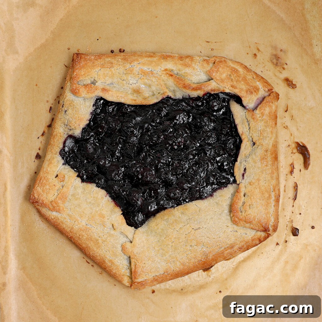 Rustic Blueberry Galette with Buttery Flaky Crust 5 A rectangular rustic Blueberry Galette with golden-brown crust and juicy blueberry filling, baked to perfection on parchment paper.