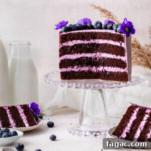 Blueberry Cream Cheese Chocolate Cake Recipe 5 img 2088 4