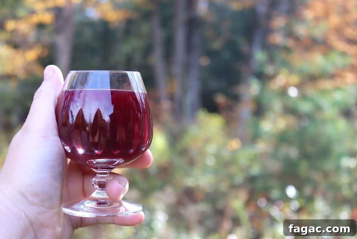 Aronia (Chokeberry) Wine and Mead Recipes 2 Aronia Wine