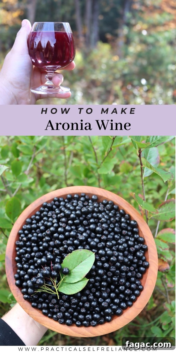 Aronia (Chokeberry) Wine and Mead Recipes 8 Making Aronia Wine