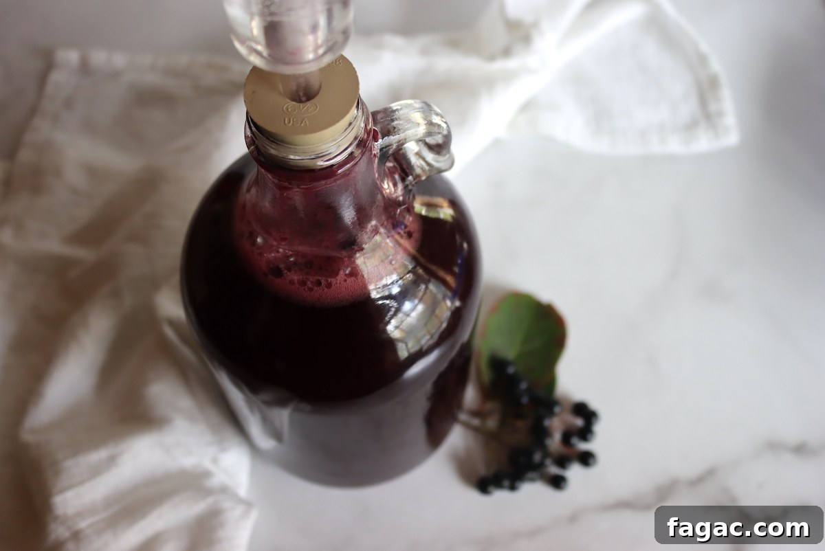 Aronia (Chokeberry) Wine and Mead Recipes 3 Aronia Wine