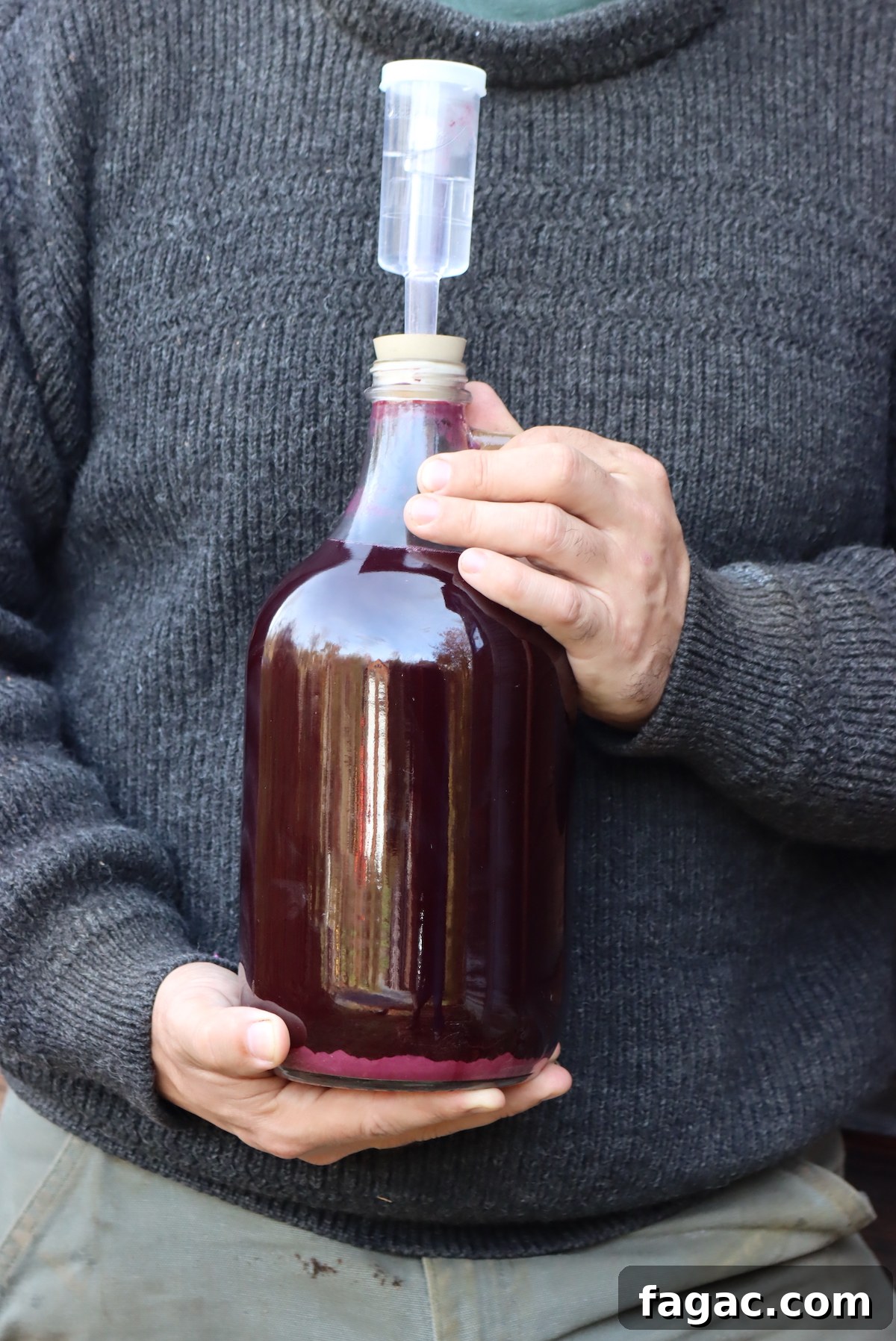 Aronia (Chokeberry) Wine and Mead Recipes 6 Aronia Wine