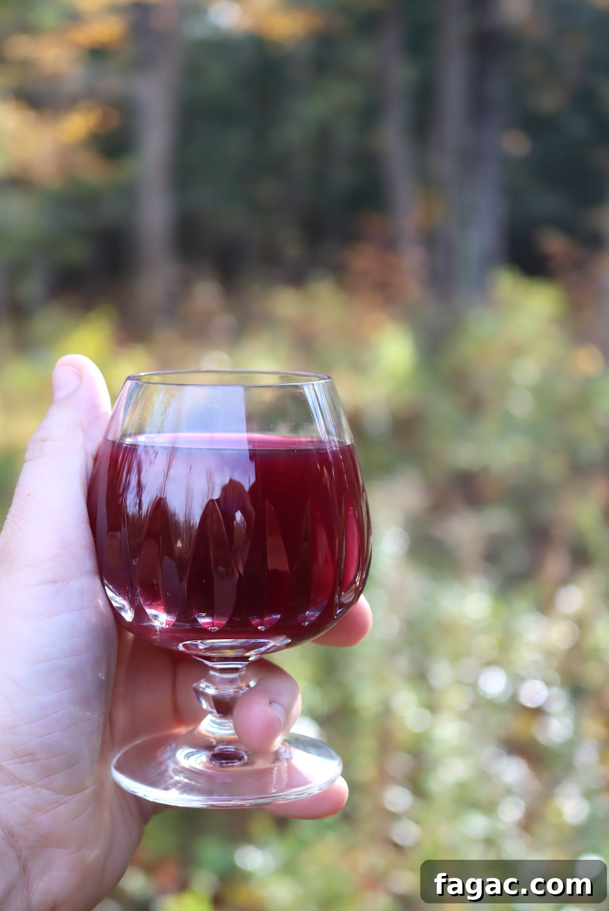 Aronia (Chokeberry) Wine and Mead Recipes 7 Aronia Wine