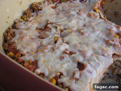 Weight Watchers Family Meals and Kid-Friendly Recipes 4 Slim & Healthy Ground Beef Enchilada Casserole