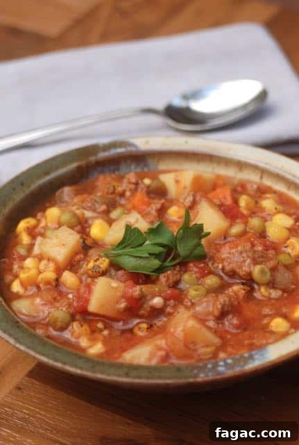 Weight Watchers Family Meals and Kid-Friendly Recipes 6 slow cooker hamburger stew