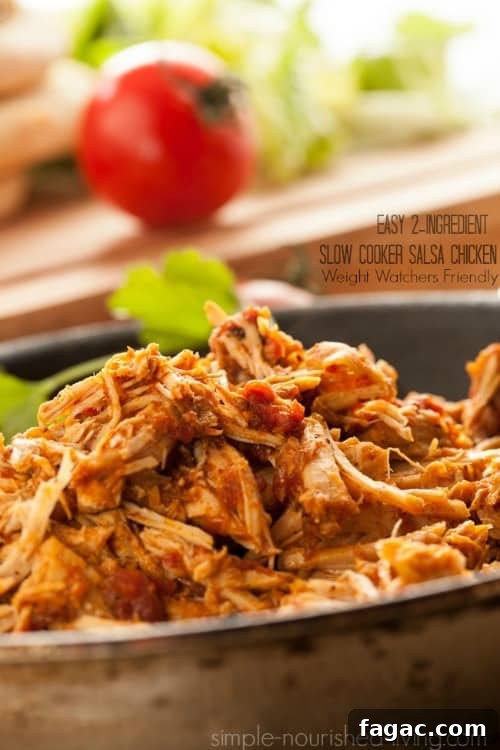 Weight Watchers Family Meals and Kid-Friendly Recipes 8 Easy 2-Ingredient Slow Cooker Salsa Chicken - 2 Weight Watchers SmartPoints