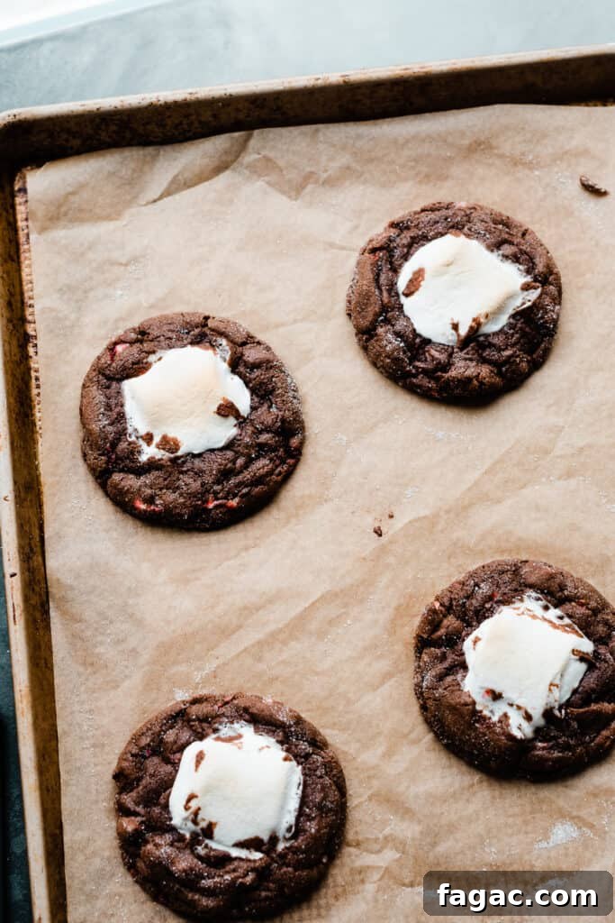 Gooey Peppermint Hot Chocolate Cookies with Marshmallows 7 Baked hot cocoa cookies on the baking sheet.