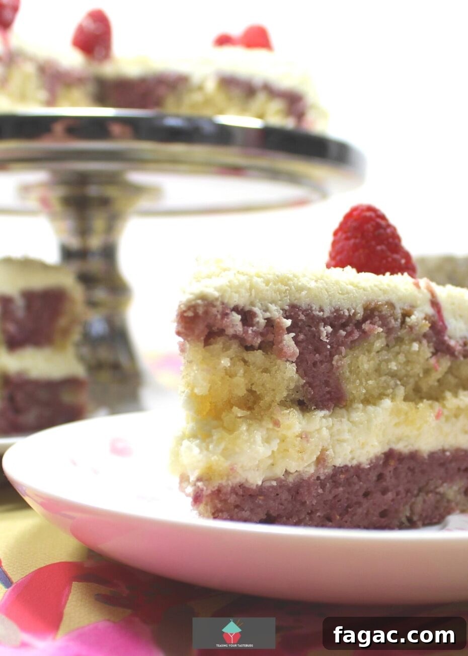 Raspberry Vanilla Marble Cake Recipe with Swirled Layers 6 Raspberry and Vanilla Marble Cake. A soft and moist marble cake bursting with delicious raspberry and vanilla flavors and a whipped cream vanilla frosting.