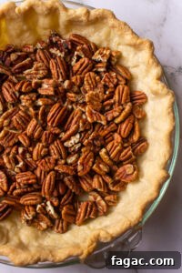 Citrus-Infused Chocolate Pecan Pie 10 pecans in pie shell